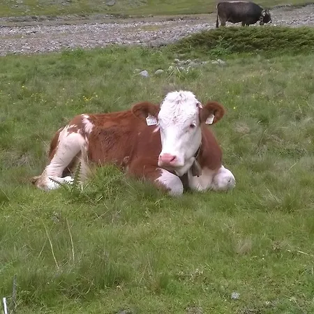 Appartamento Zell Längenfeld